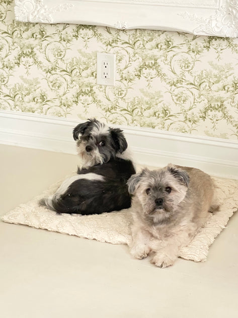 Washable Dog Bed/mat Padded Dog Blanket Chenille Pet Bed Shabby Chic Dog  Bed Pet Mat 